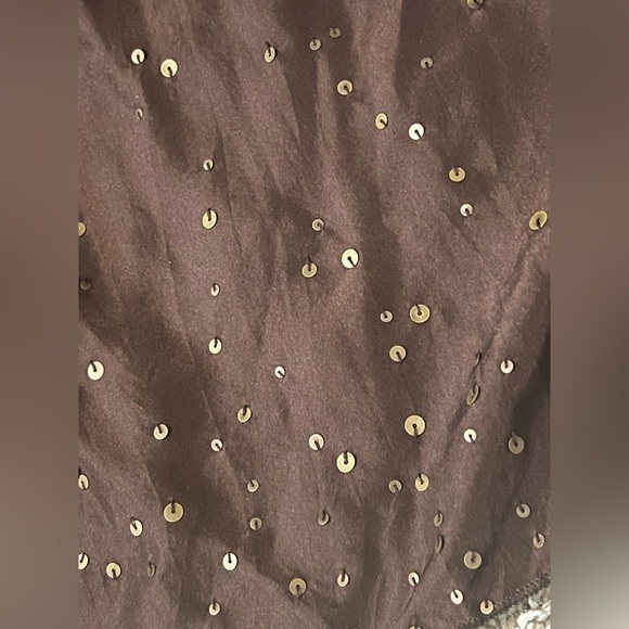 Talbots 100% Pure Silk Brown Pleated Full Skirt Maxi sz 8 P Beads & Sequins - Picture 4 of 10